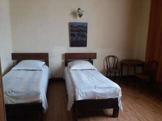 Отель Old Signagi Сигнахи Просторный двухместный номер с 2 отдельными кроватями-3